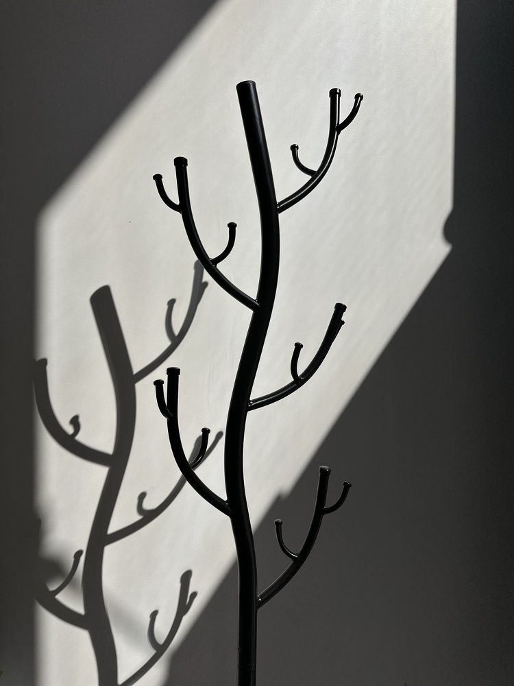 Фотография автора Асель Кузетова