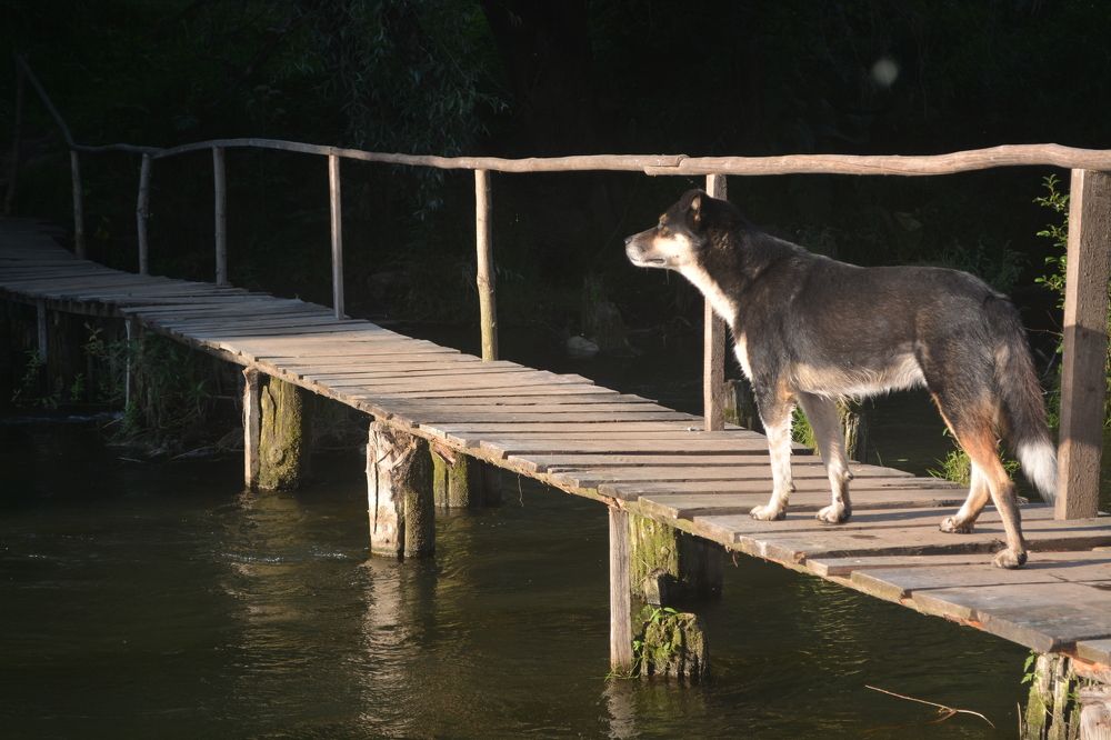 Photograph by Ксения Лебедева
