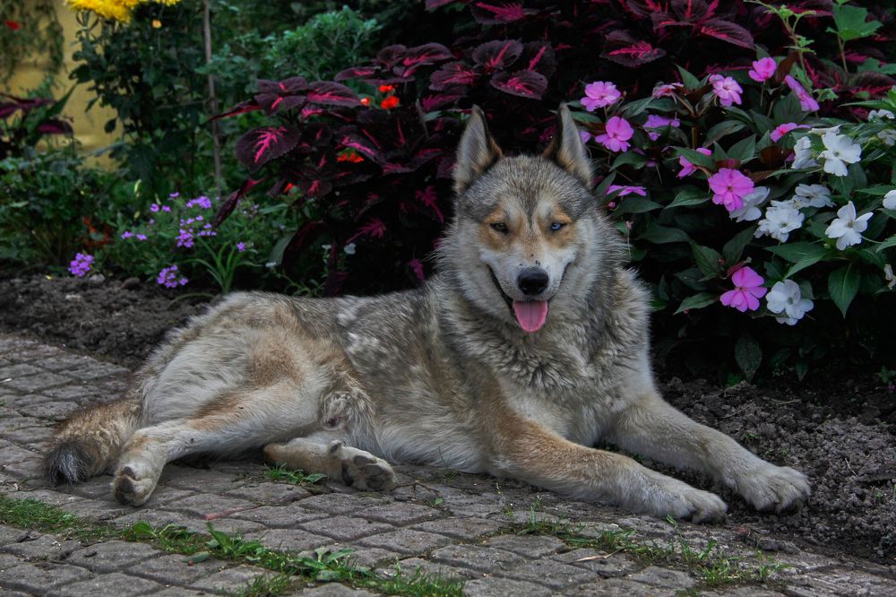 Фотография автора Наталия Мащенко