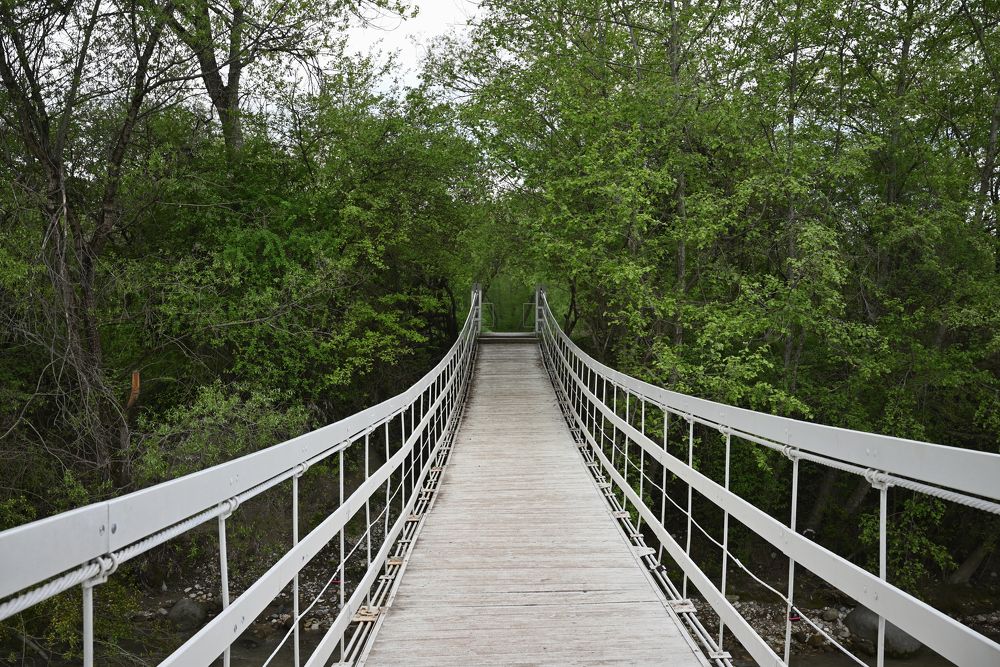 Фотография автора Дмитрий Referee
