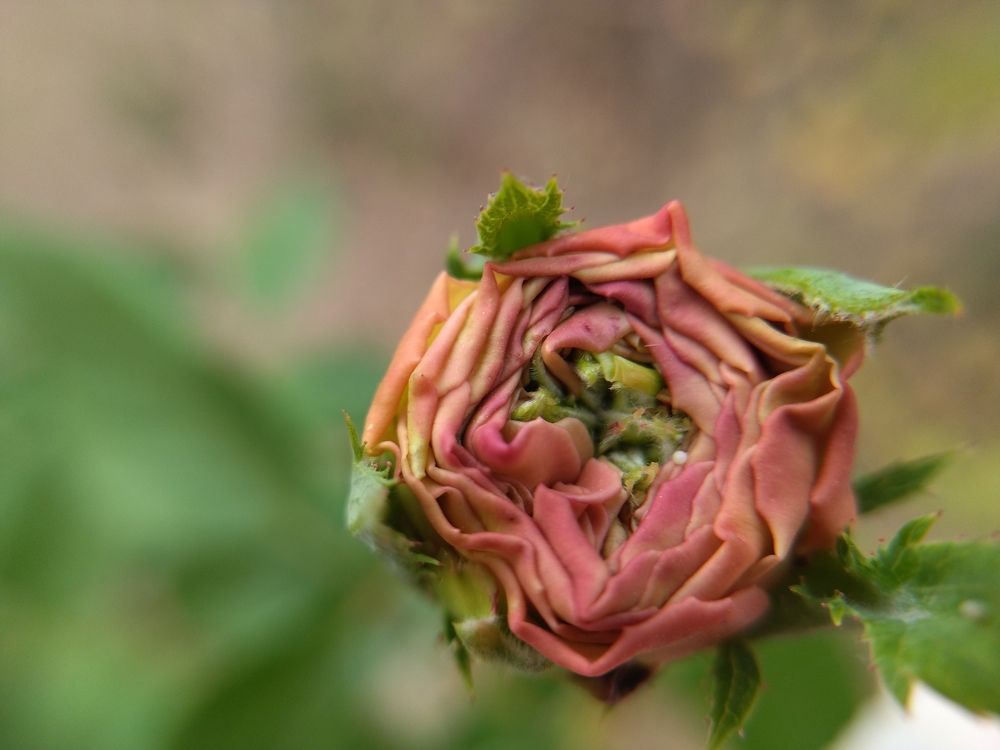 Photograph by Анна Степанова