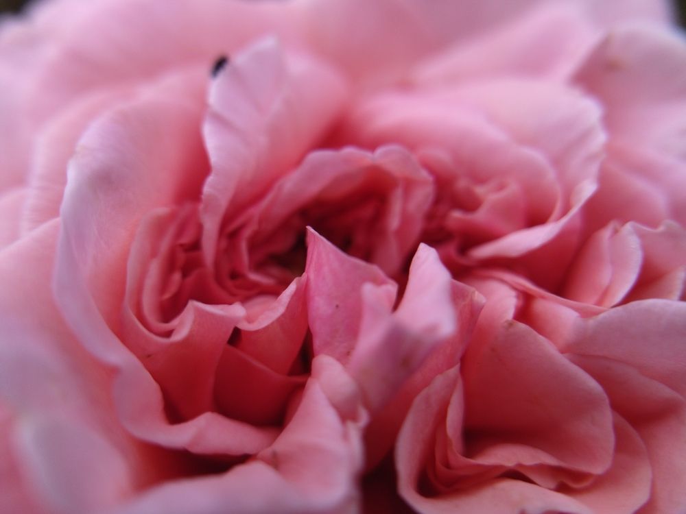 Photograph by Анна Степанова