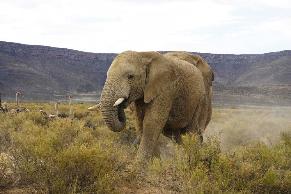 Photograph by Raed Victor Saad