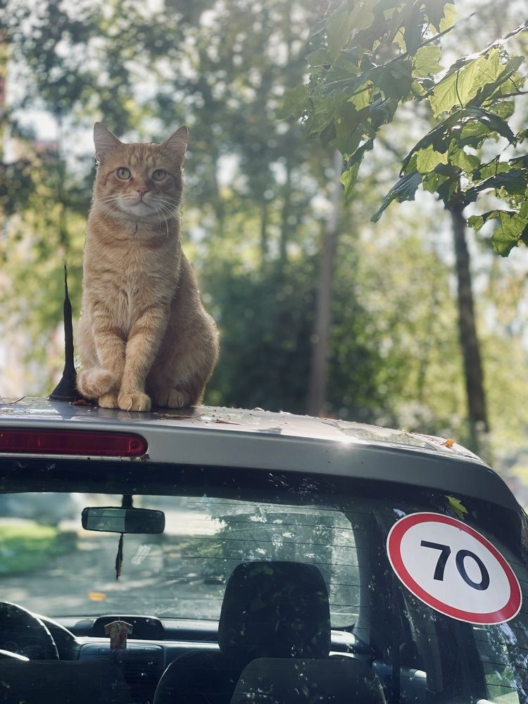 Photograph by Максим Азарчик