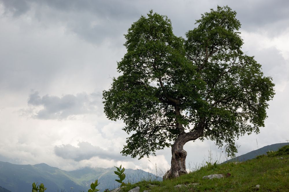 Photograph by Nadezhda Bakina