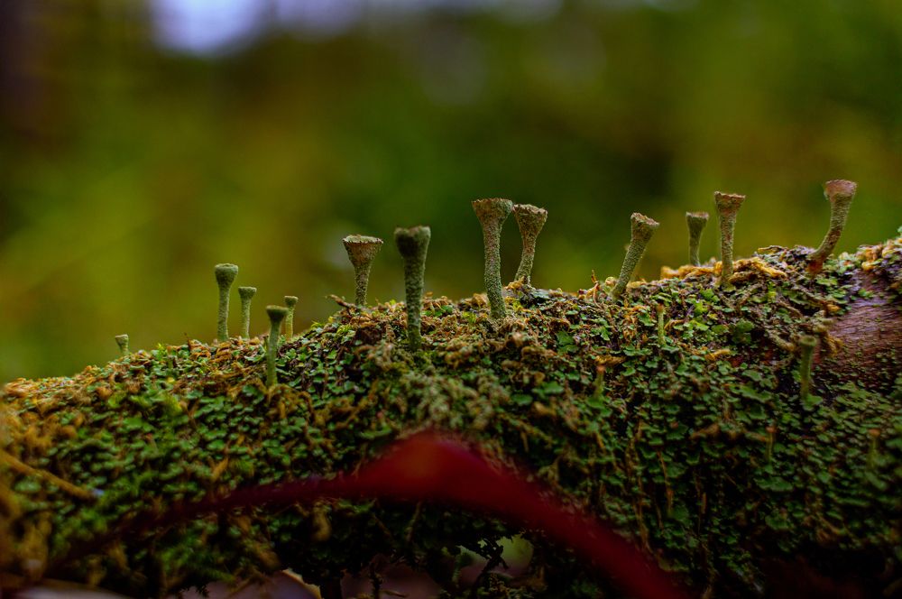 Photograph by Кокорин Алексей