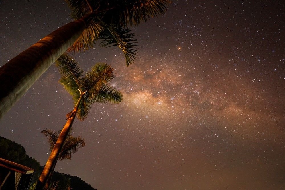 Photograph by Carlo Demicheli