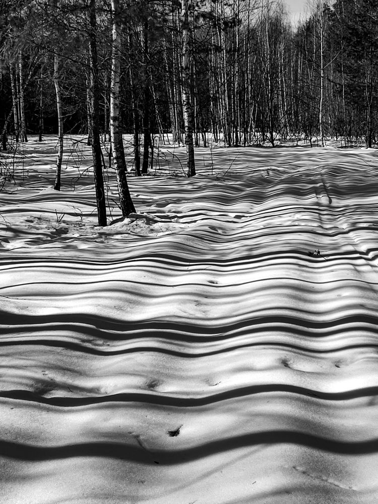 Photograph by Алёна Пшеленская