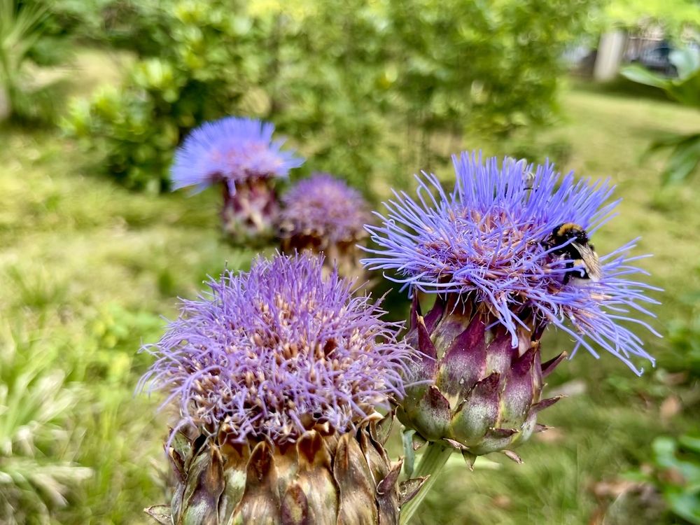 Photograph by Александр Михайлович