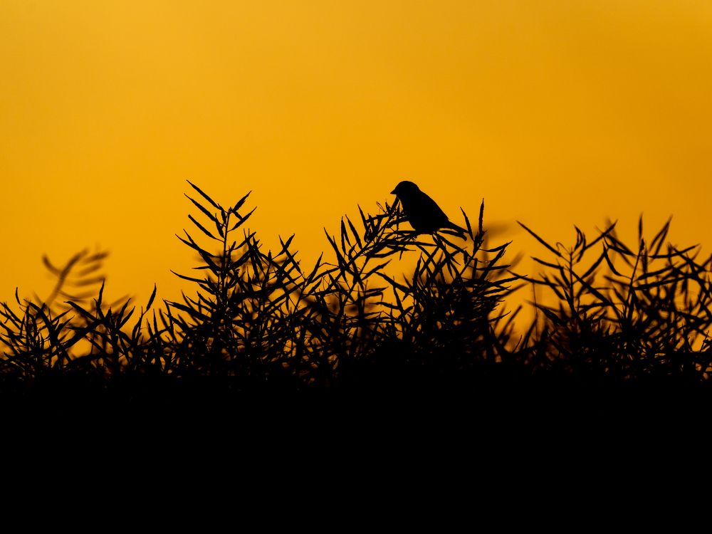 Photograph by Raman Danilchyk