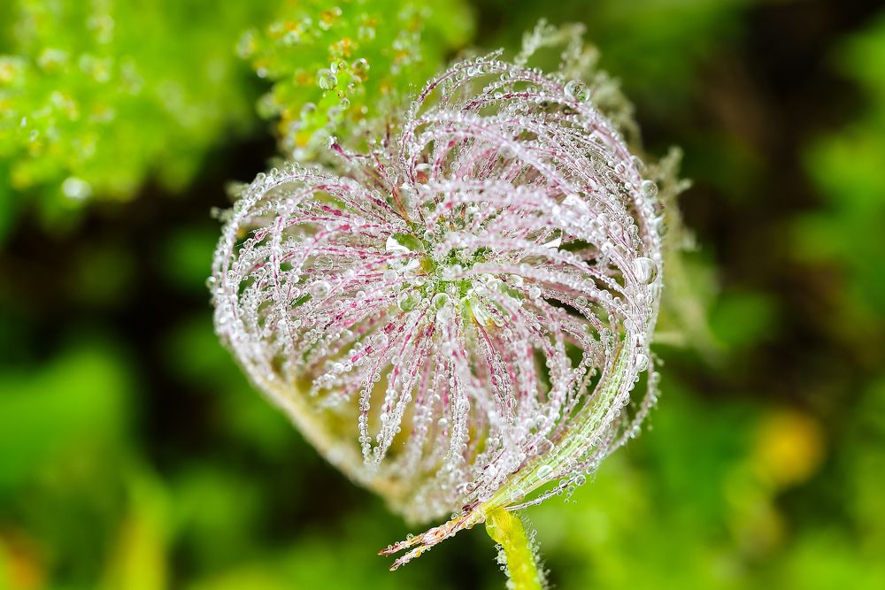 Photograph by Игорь Ковалёв