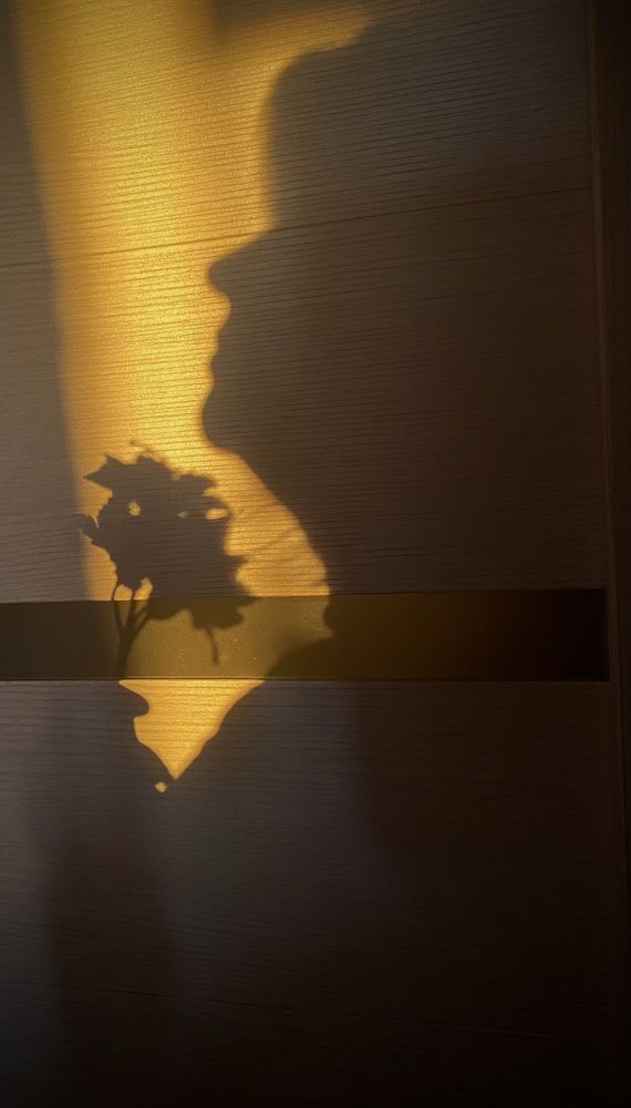 Photograph by Наталья Ситова