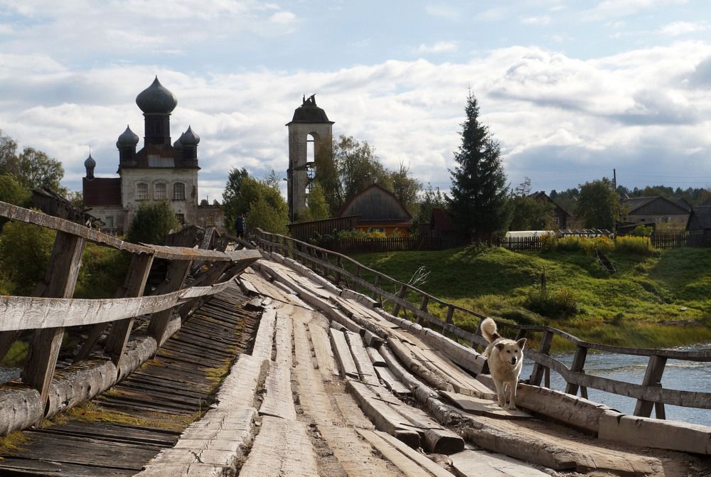 Photograph by Максимова Ирина