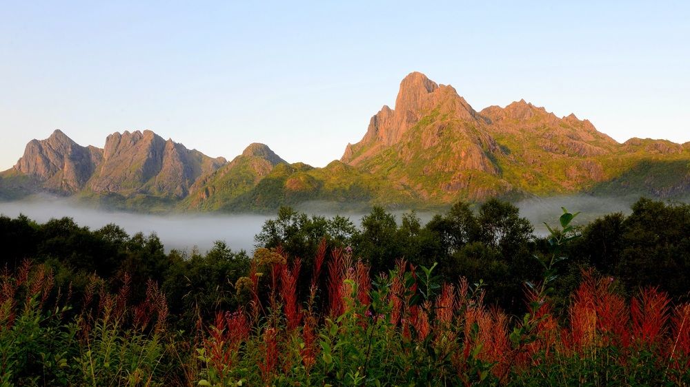 "Утренний туман медленно уходит туда, куда ему надо..."