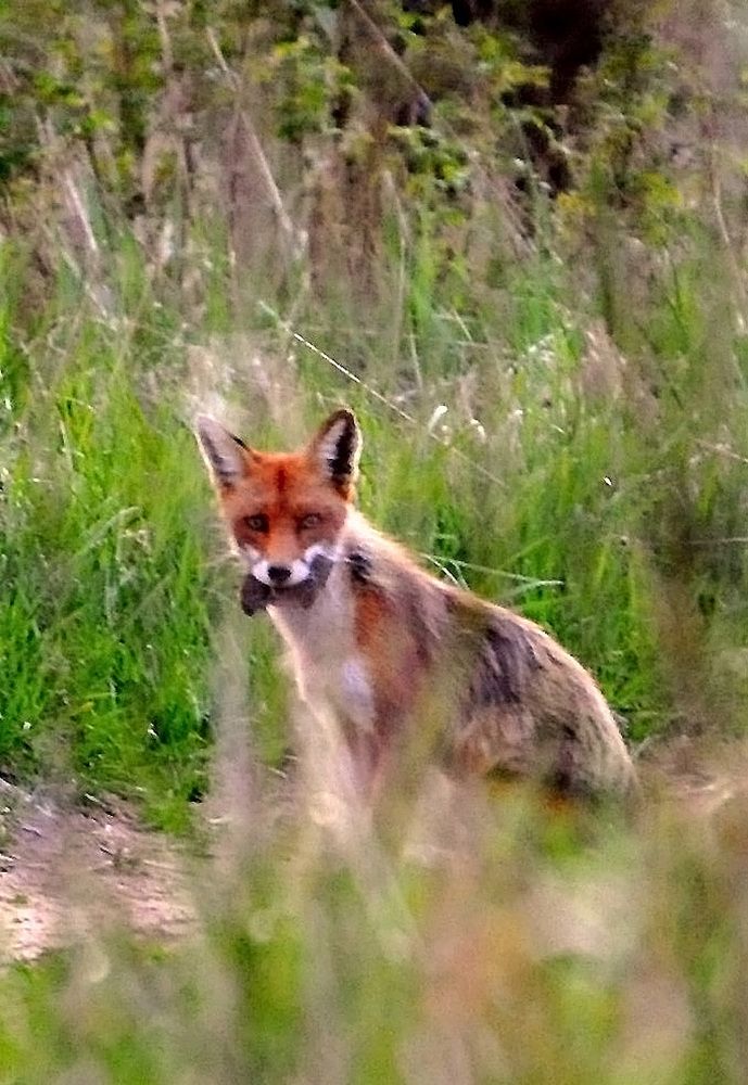 Photograph by Юрий Яковлев