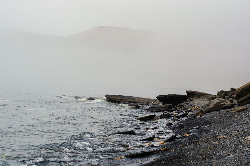 Photograph by Виктория Москалева