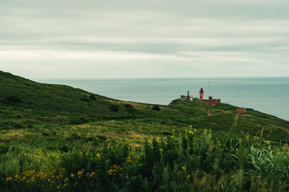 Photograph by Виктория Москалева
