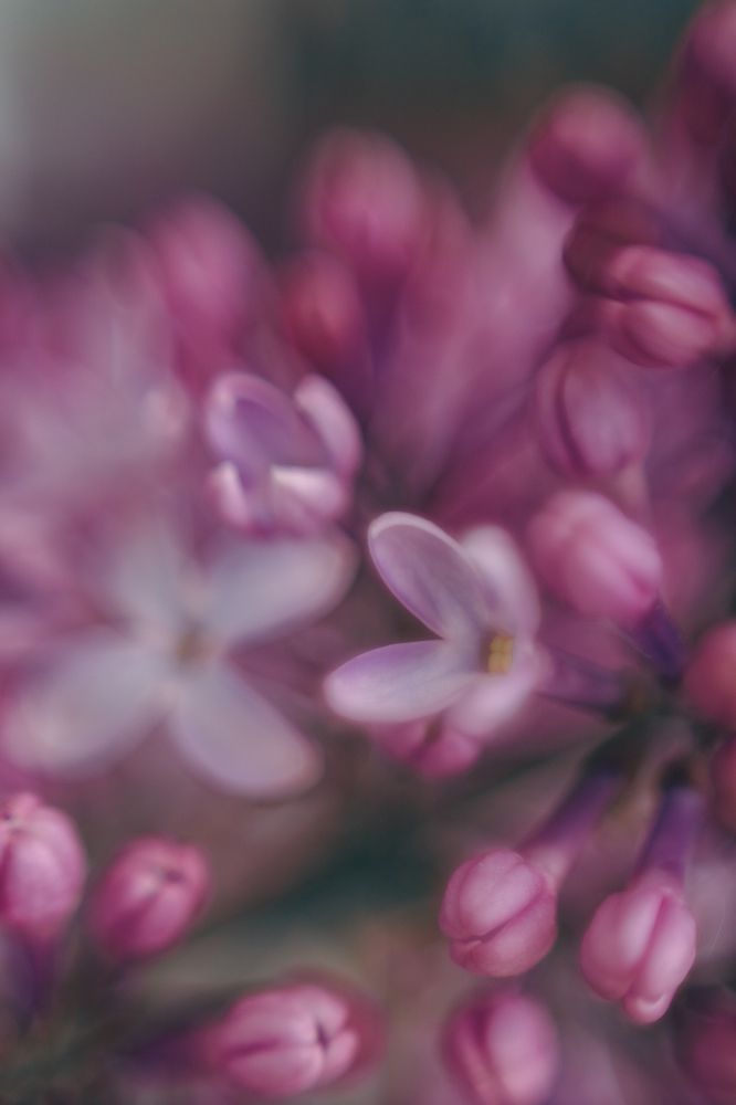 Photograph by Elena Kilina