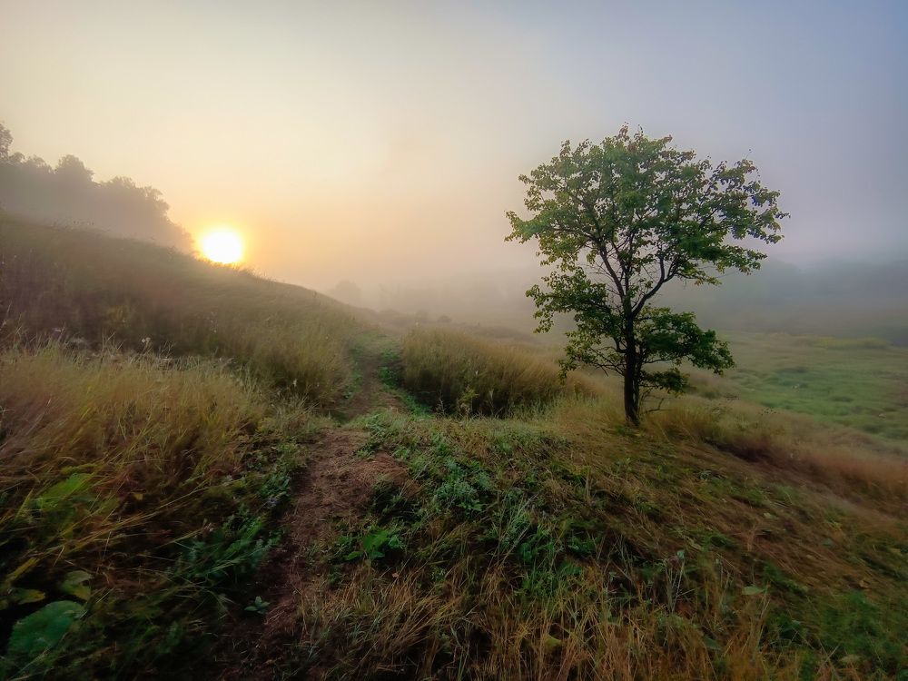 Photograph by Кондрашова Светлана