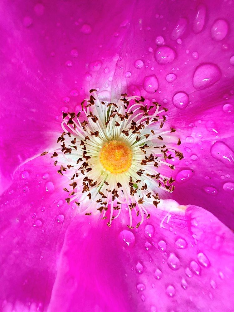 Фотография автора Виталий Петров