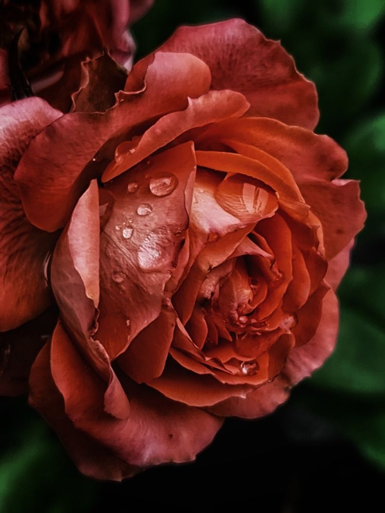 Photograph by Наталья Иванова