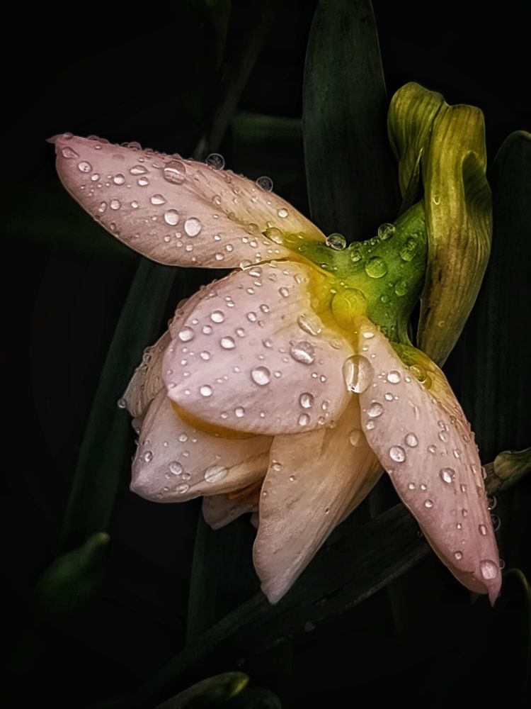 Photograph by Наталья Иванова