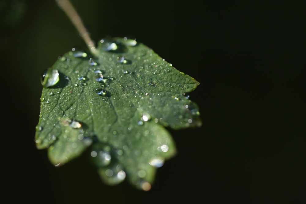 Photograph by Екатерина Журавлева