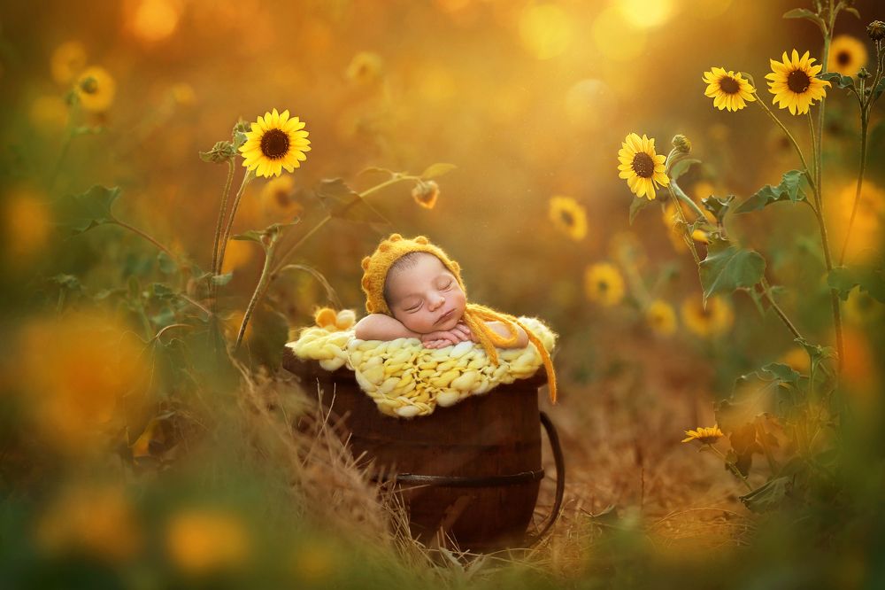 Photograph by Jane Sirkin