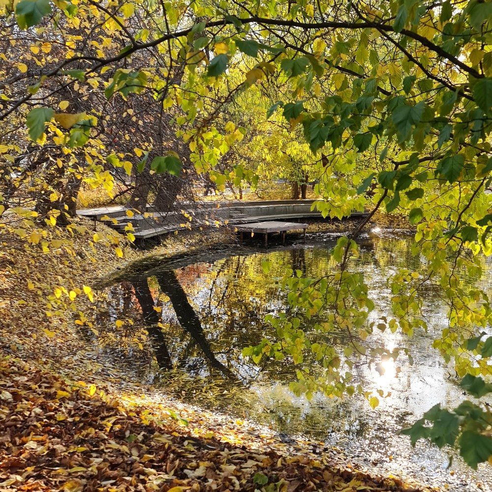 Photograph by Наталья Иванова