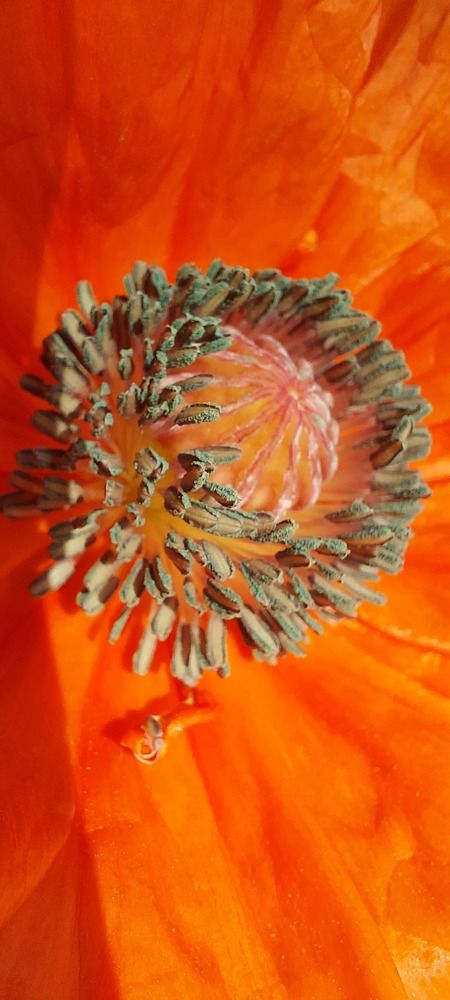 Фотография автора Ольга Круковская