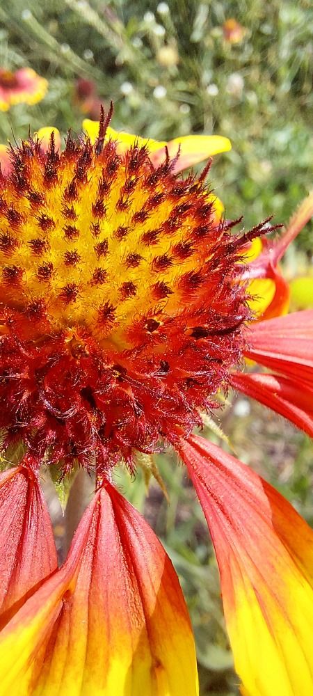 Фотография автора Ольга Круковская