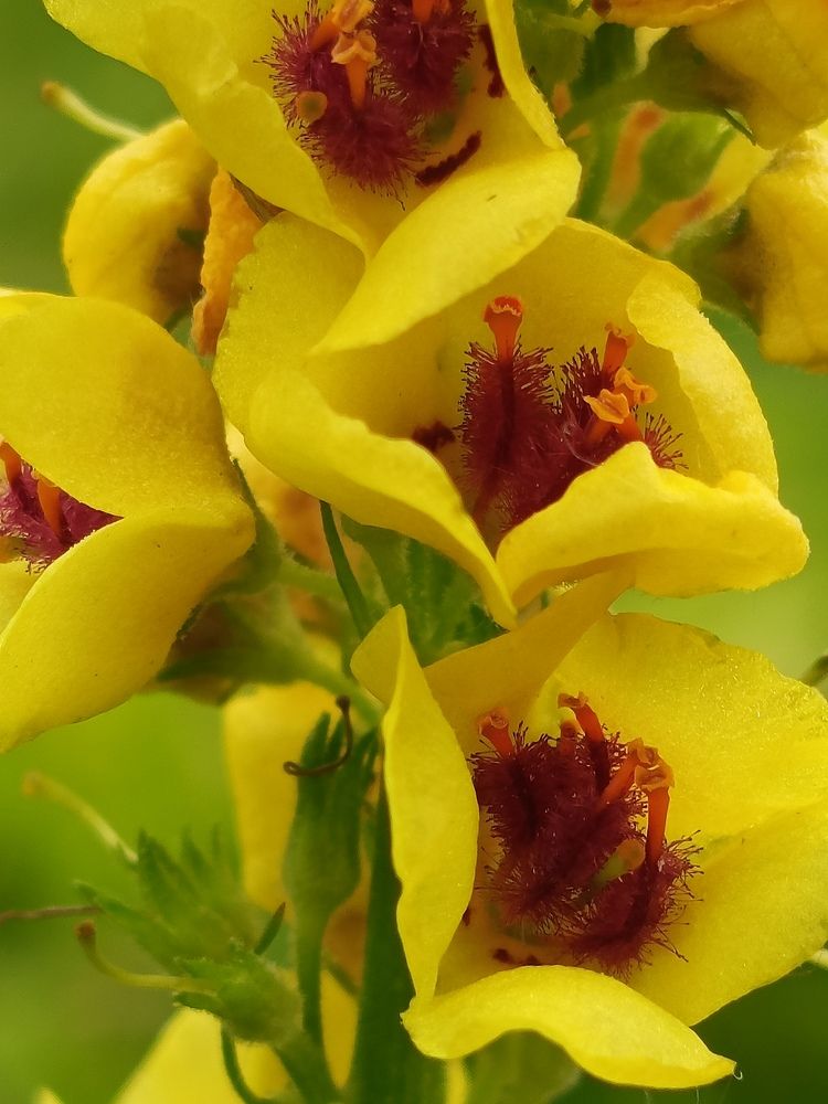 Photograph by Галина Смирнова