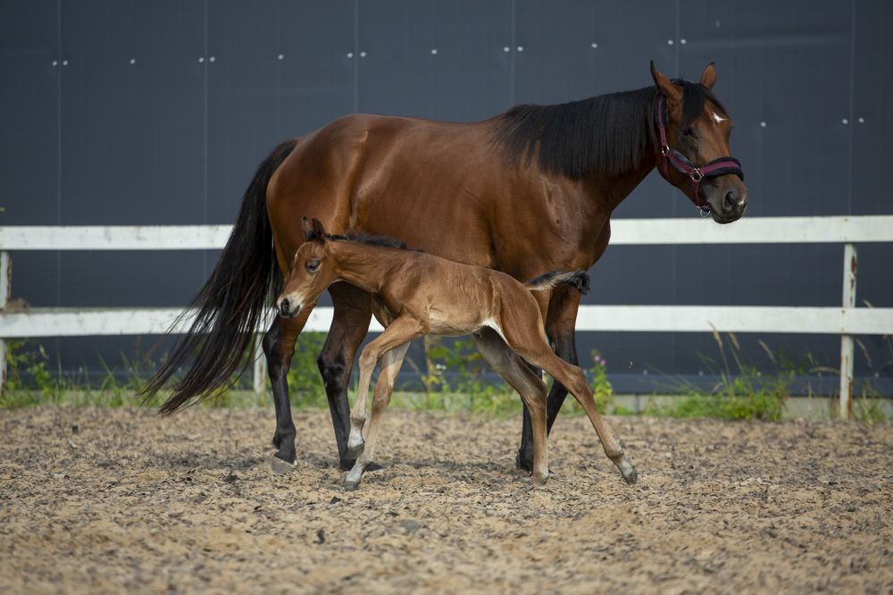Фотография автора Полина Жаринова