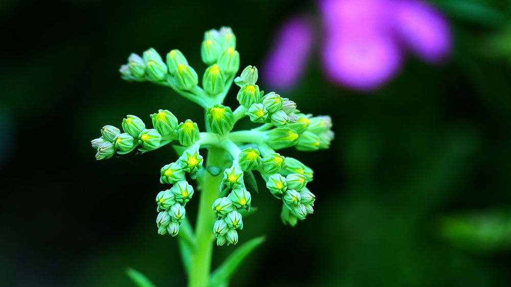 Photograph by Владимир Лобанов