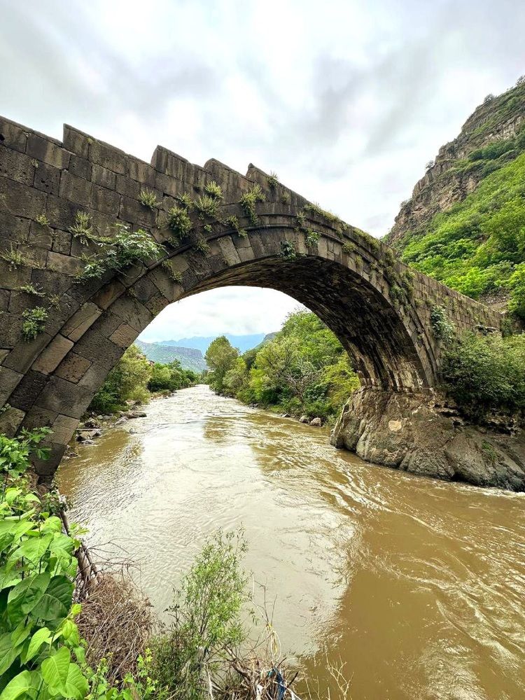 Фотография автора Natalya Firsova