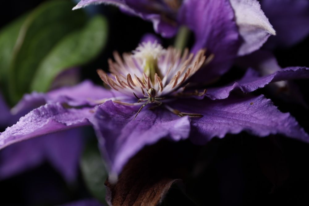 Photograph by Кудинов Илья