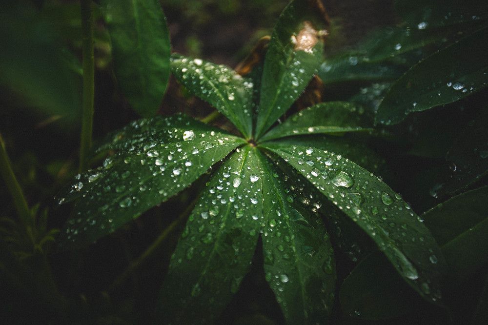 Photograph by Евгений Авдеев