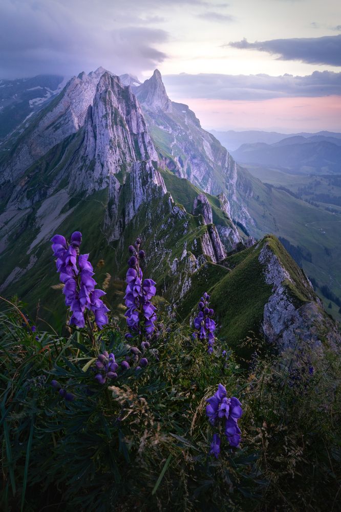Фотография автора Jack Instedt