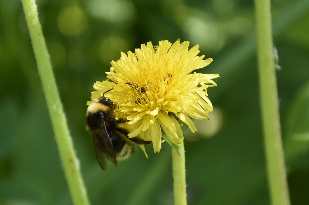 Photograph by Ю. Лия