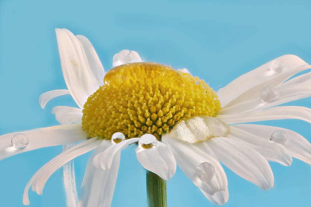 Photograph by Андрей Кротов