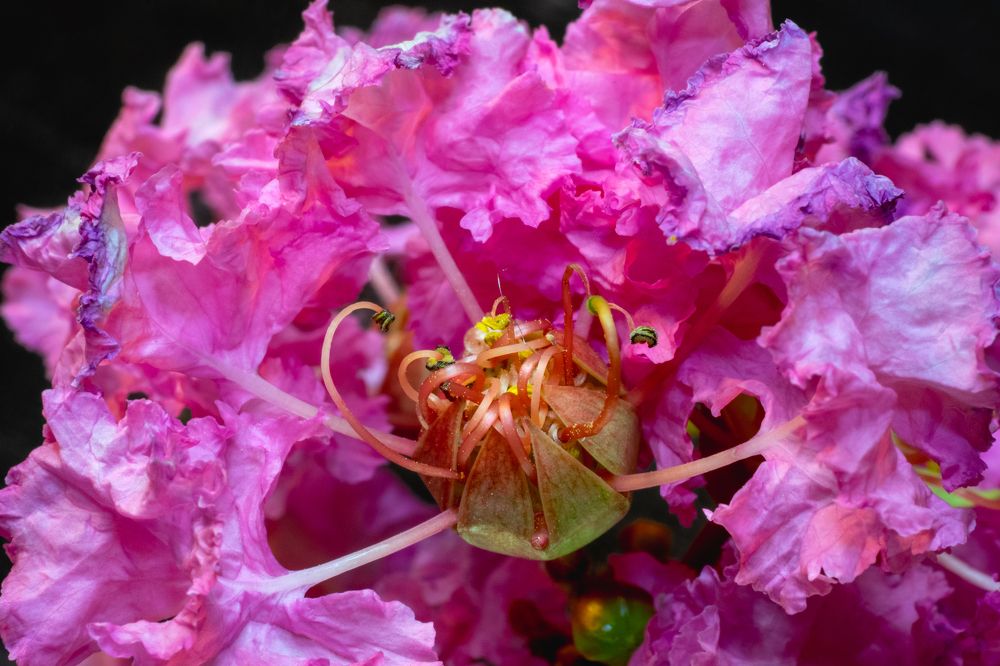 Фотография автора Mario Marco Cosulich