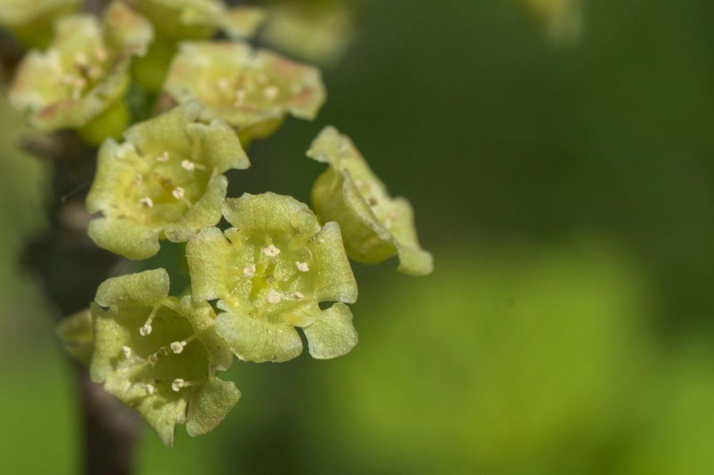 Photograph by Елена Ласун