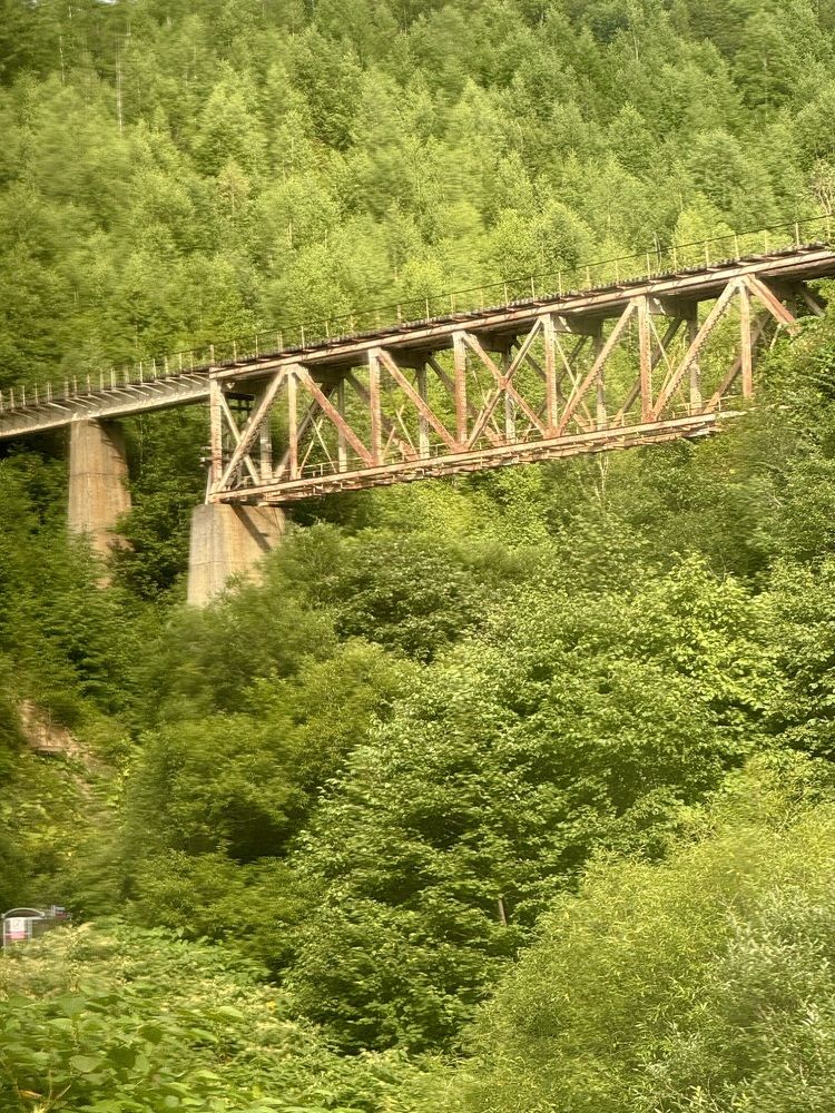 Photograph by Елена Квинт