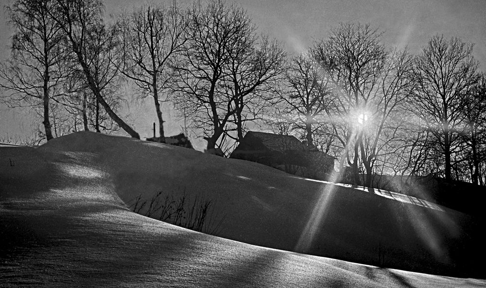 Татьянин день