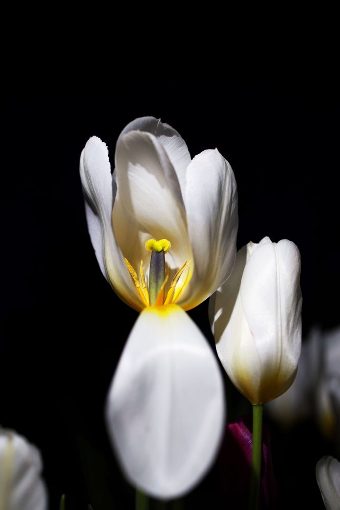 Photograph by Кудинов Илья