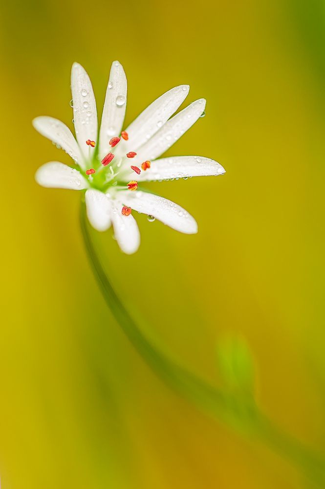 Photograph by Андрей Иванов