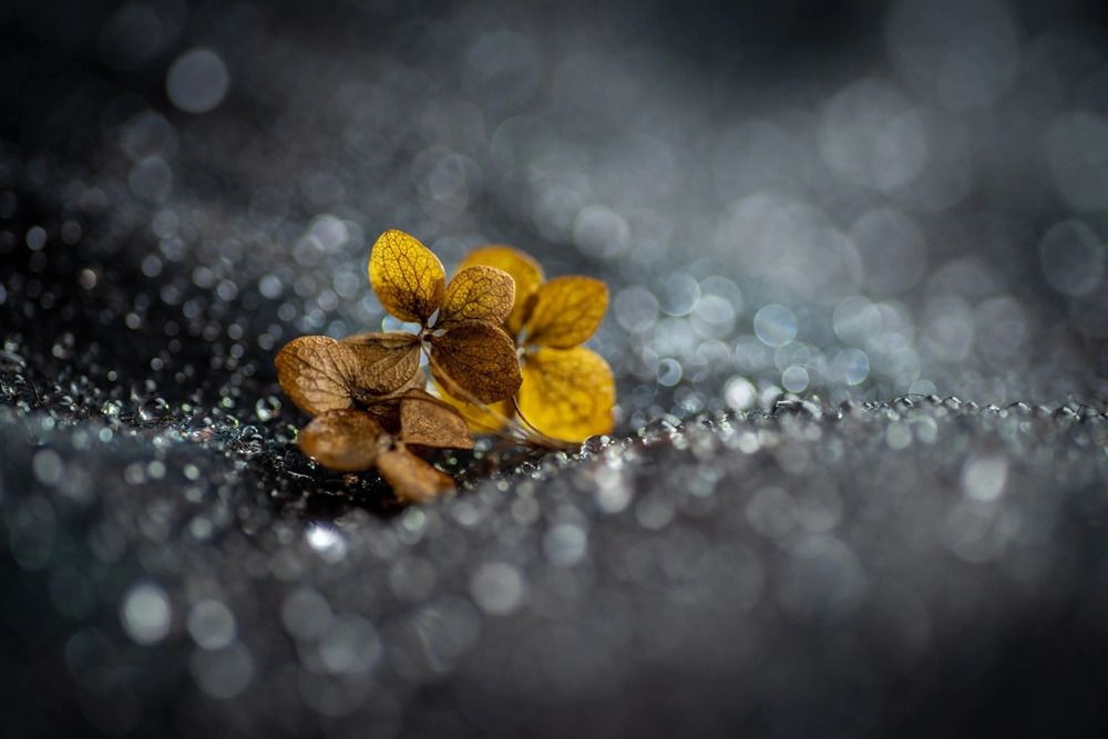 Photograph by Анна Иванова