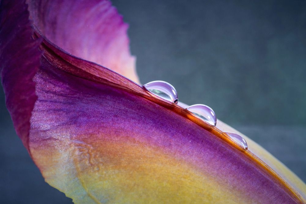 Photograph by Анна Иванова