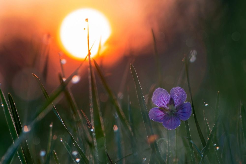 Photograph by Анна Иванова