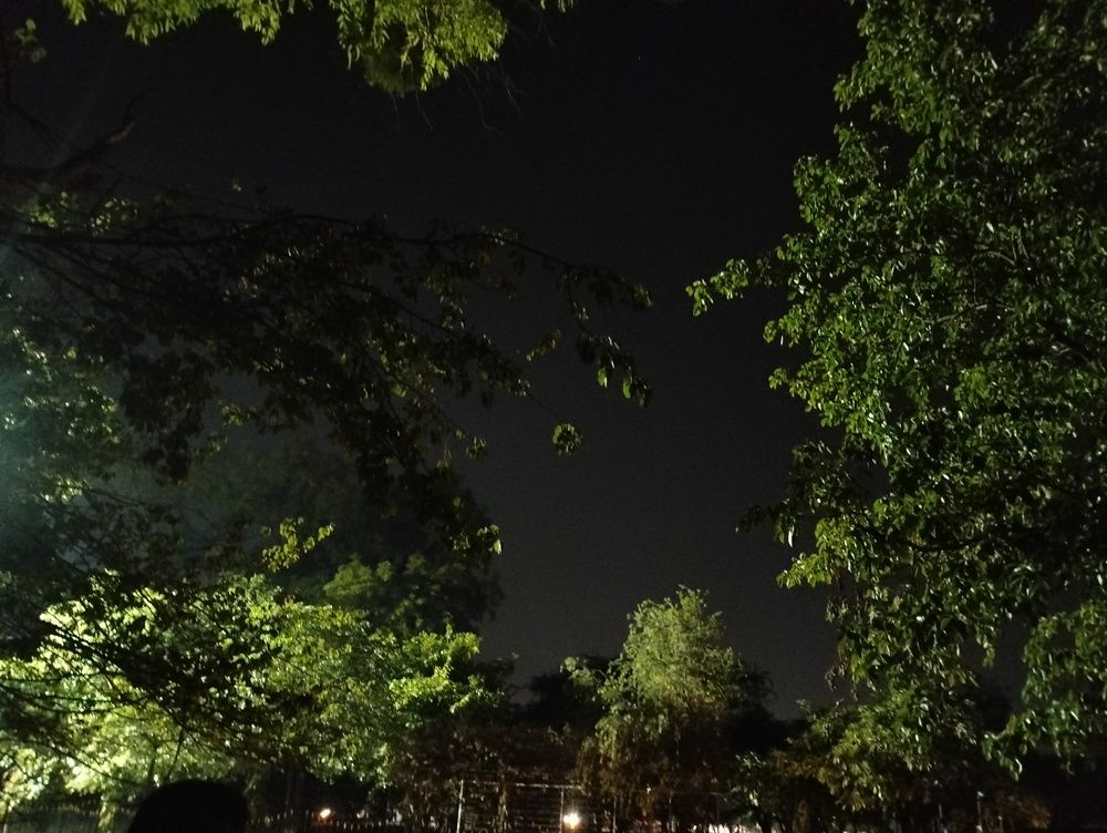 Photo #10967551